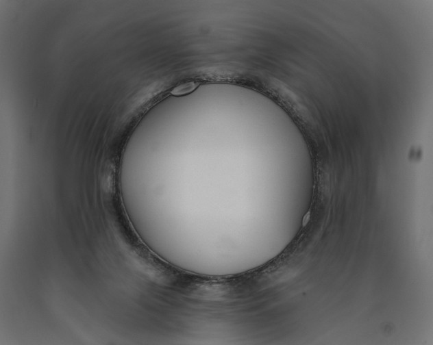 X0000090420071200708031116