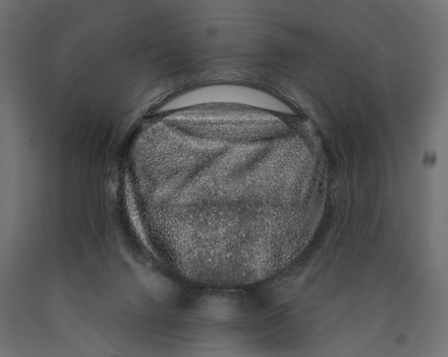 X0000090420072200708031116