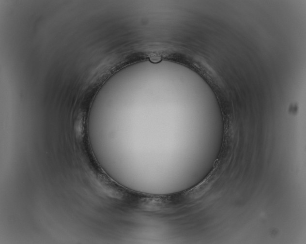 X0000090420074200708031116