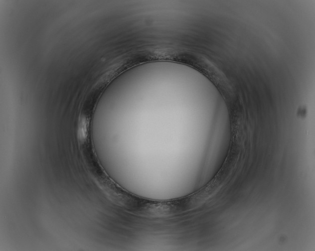 X0000090420075200708031116