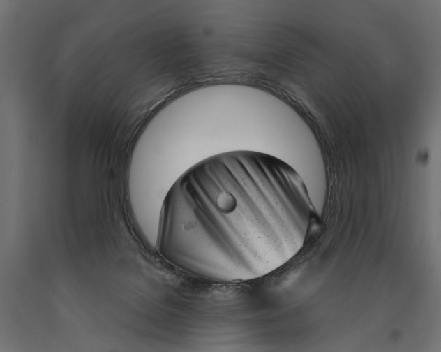 X0000090420076200708031116