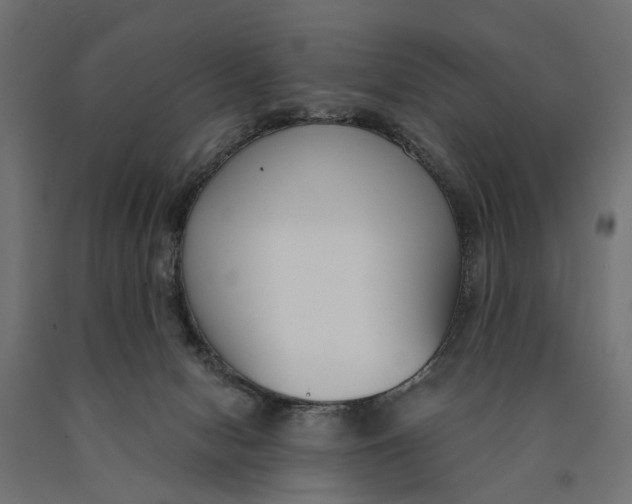 X0000090420078200708031116