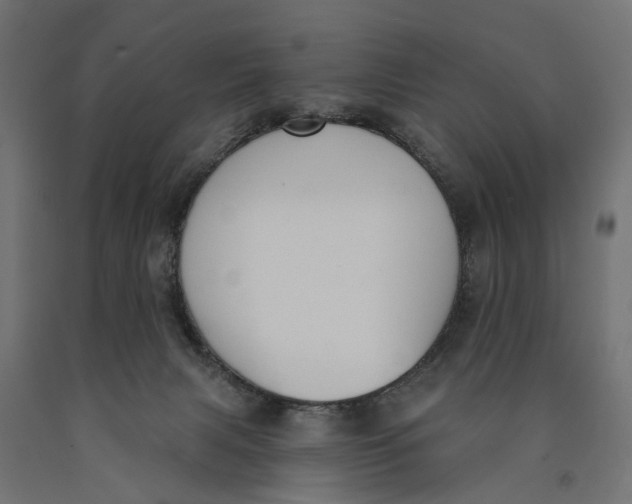 X0000090420079200708031116