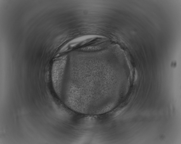 X0000090420080200708031116