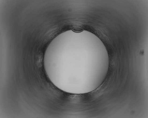 X0000090420082200708031116