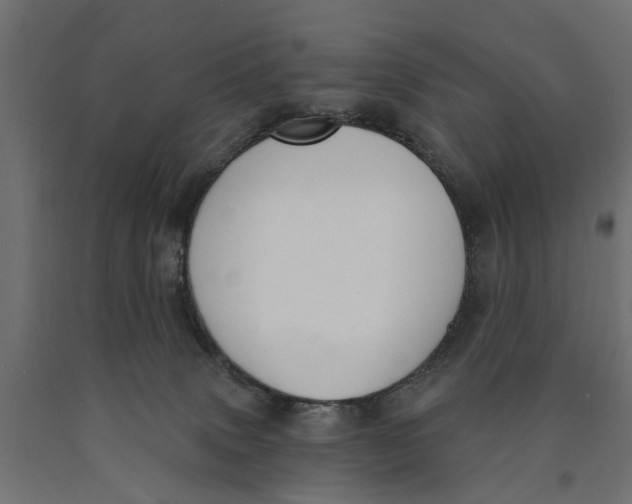 X0000090420083200708031116