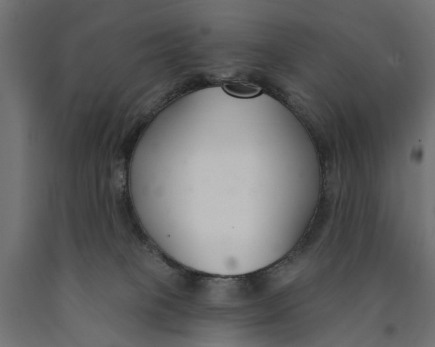 X0000090420085200708031116