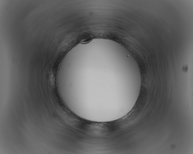 X0000090420086200708031116