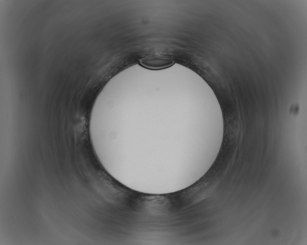 X0000090420087200708031116