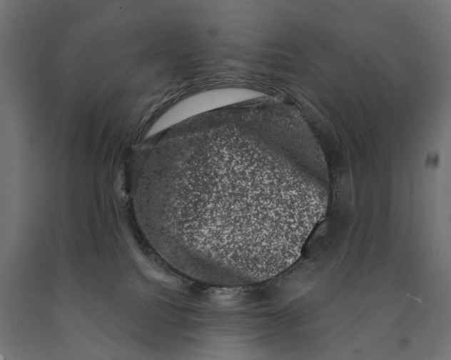 X0000090420088200708031116