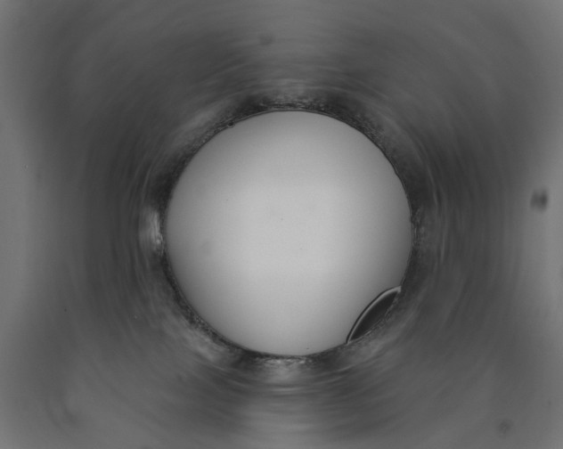 X0000090420089200708031116