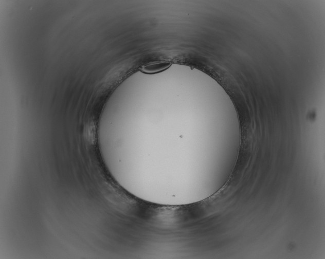 X0000090420090200708031116