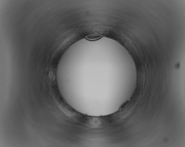 X0000090420091200708031116