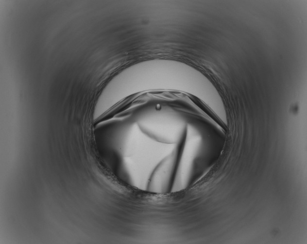 X0000090420092200708031116