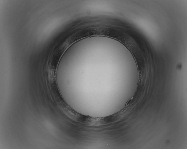 X0000090420093200708031116