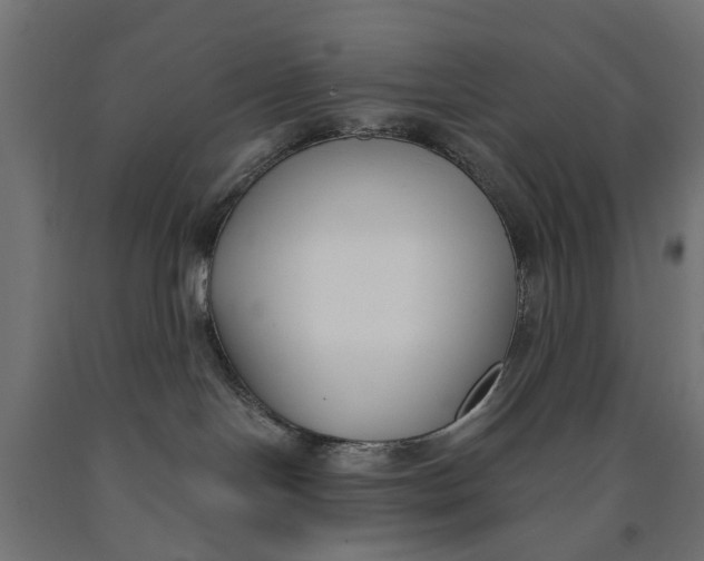 X0000090420094200708031116