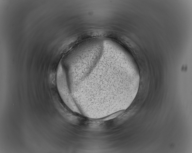 X0000090420096200708031116