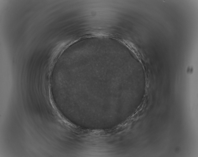 X0000090420097200708031115