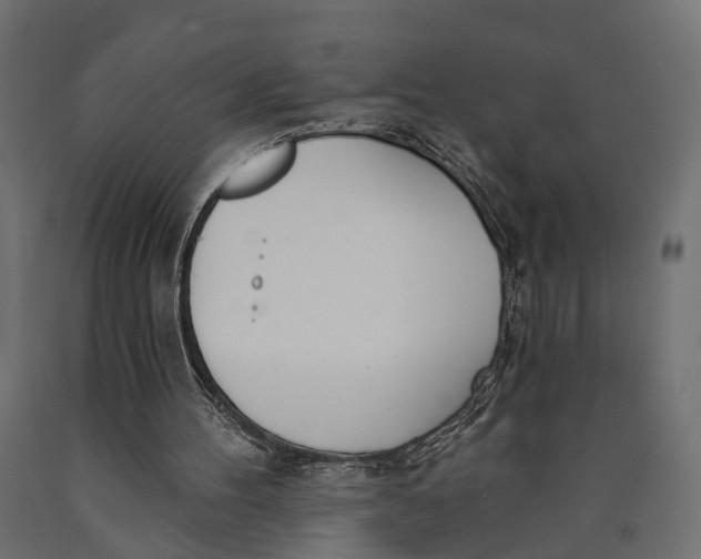 X0000090420100200708031115