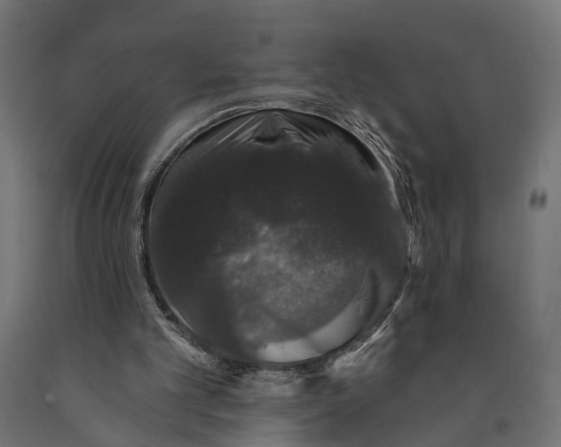 X0000090420101200708031115