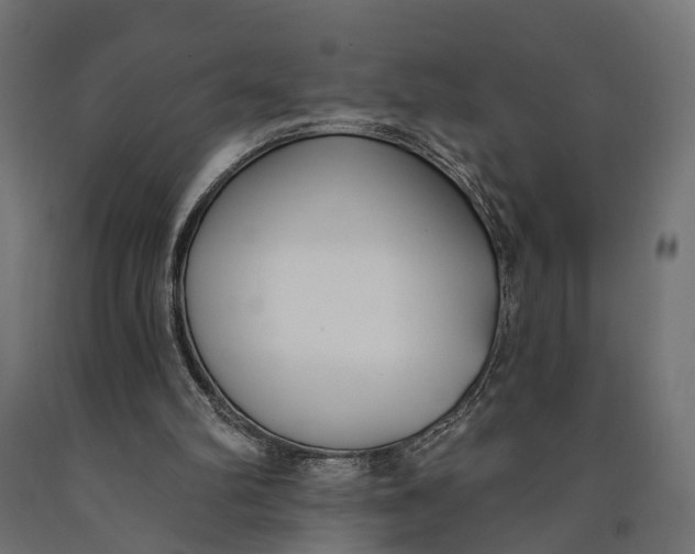 X0000090420102200708031115