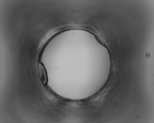 X0000090420103200708031115