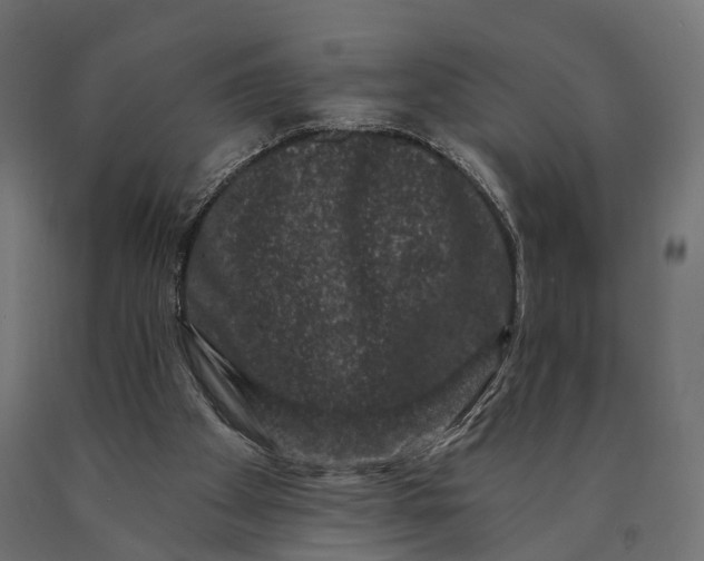 X0000090420105200708031115