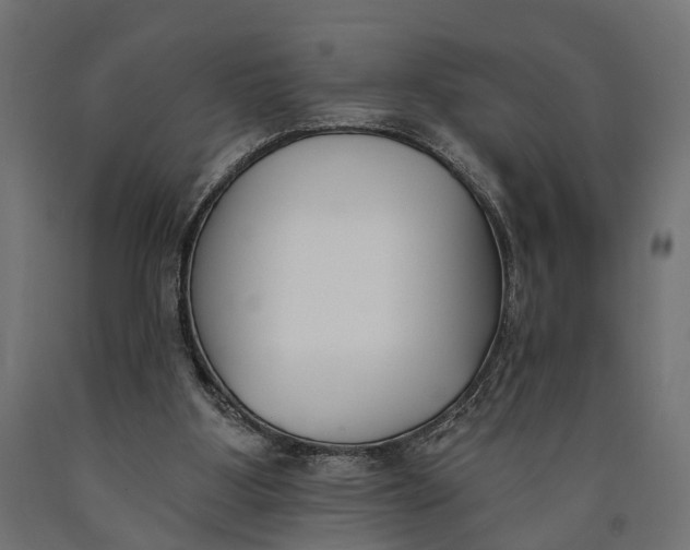 X0000090420107200708031115