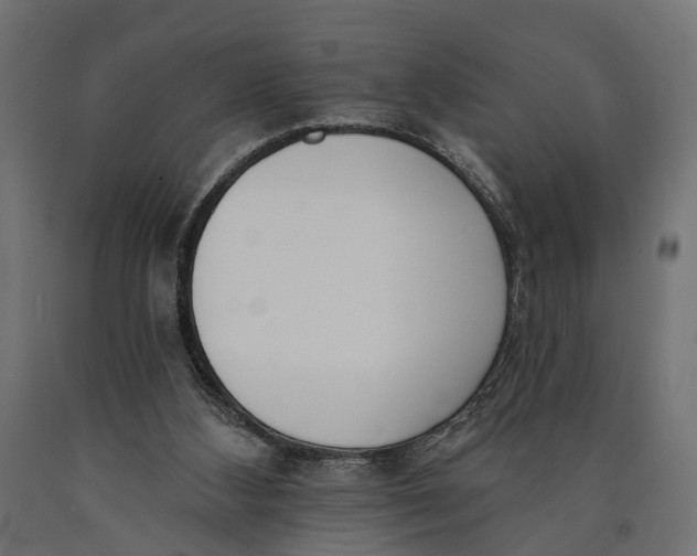 X0000090420108200708031115