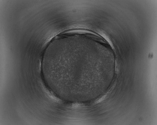 X0000090420109200708031115