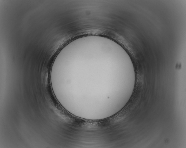 X0000090420110200708031115