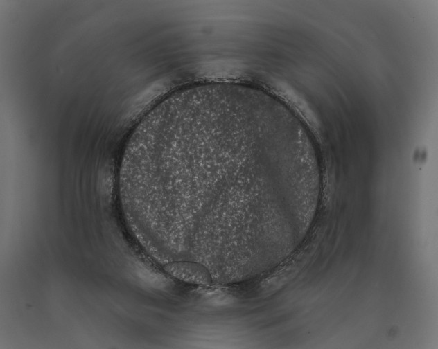 X0000090420113200708031115