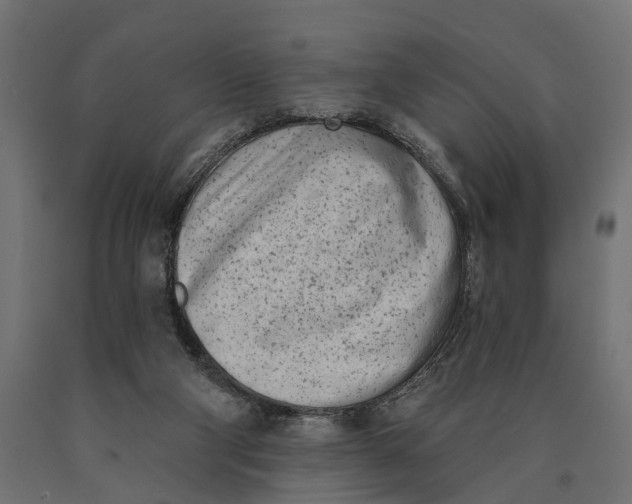 X0000090420114200708031115