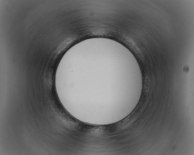 X0000090420116200708031115