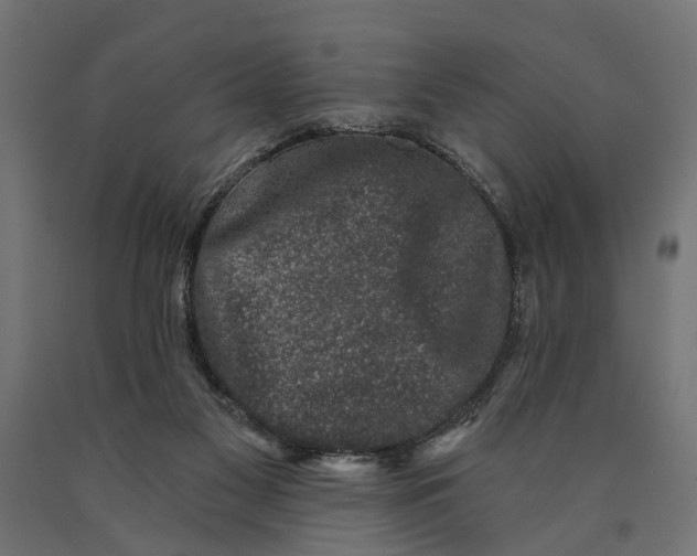 X0000090420117200708031115