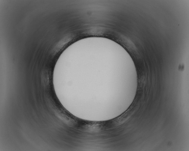 X0000090420120200708031115