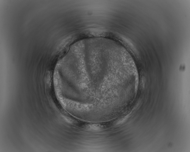 X0000090420121200708031115