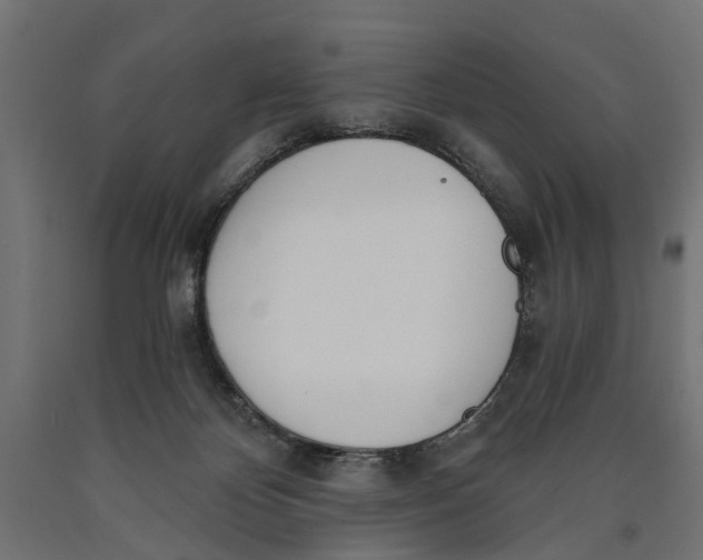 X0000090420124200708031115