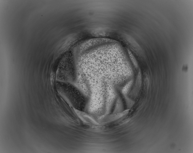 X0000090420125200708031115