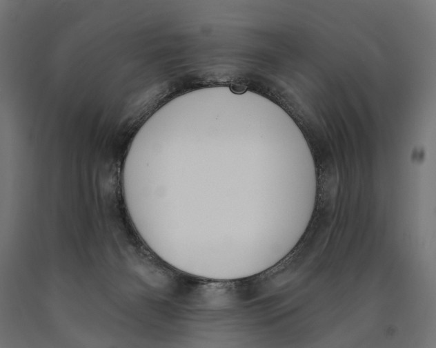 X0000090420126200708031115