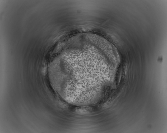 X0000090420129200708031115