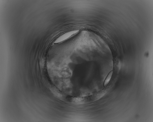 X0000090420139200708031115