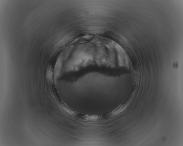 X0000090420143200708031115