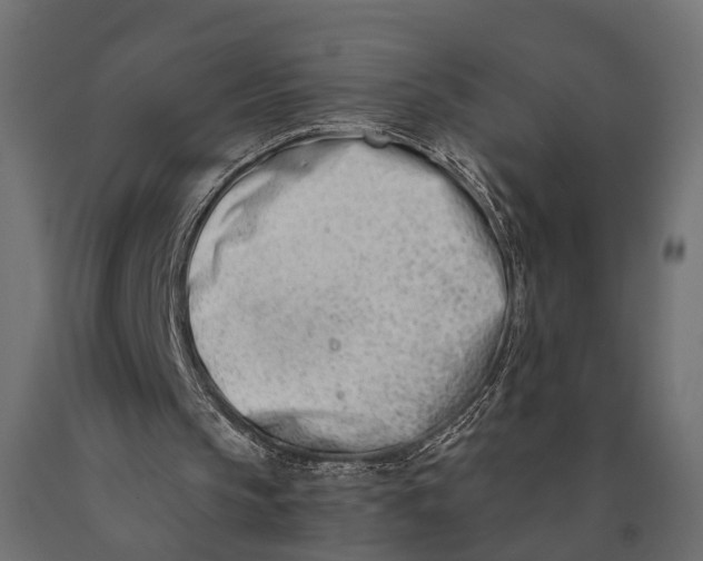 X0000090420145200708031114