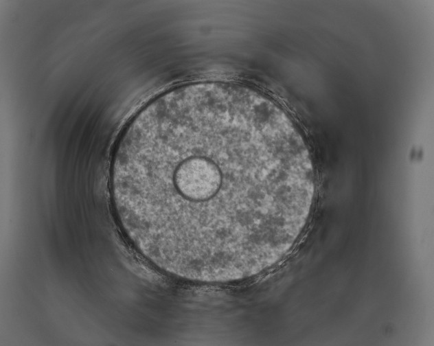 X0000090420146200708031114