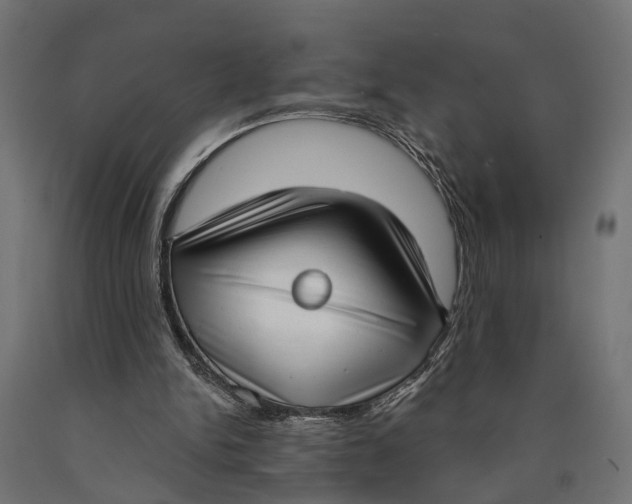 X0000090420150200708031114