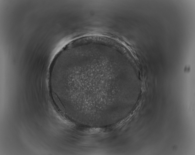 X0000090420152200708031114