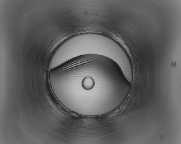 X0000090420154200708031114