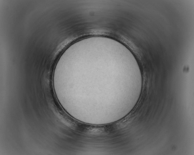 X0000090420155200708031114