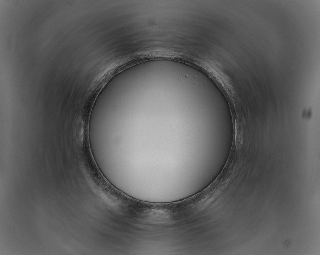 X0000090420157200708031114